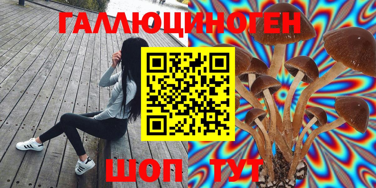 Калуга  где купить   Вход с VPN  Псилоцибиновые грибы Cubensis 